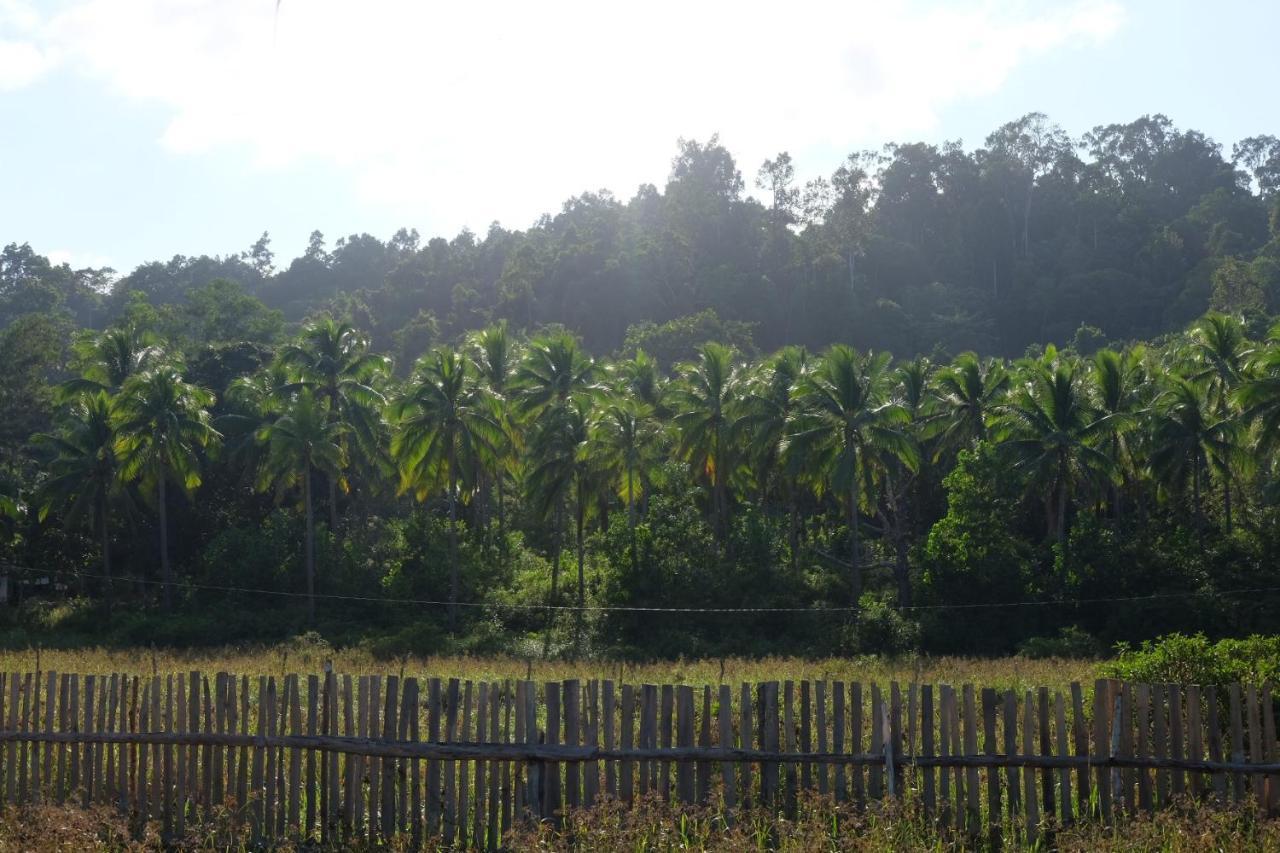 Palayan Paradise Huts サン・ヴィチェンテ エクステリア 写真