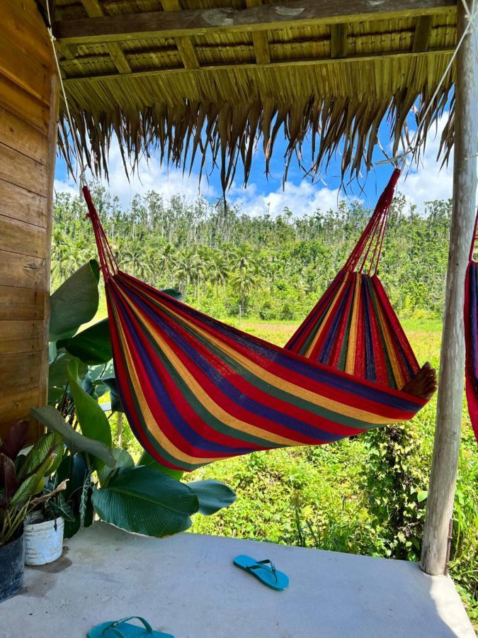 Palayan Paradise Huts サン・ヴィチェンテ エクステリア 写真